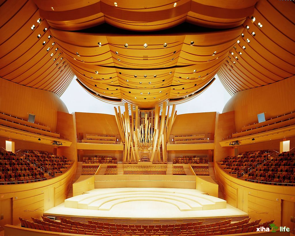 Field Guide- Walt Disney Concert Hall Organ | Poorifolio