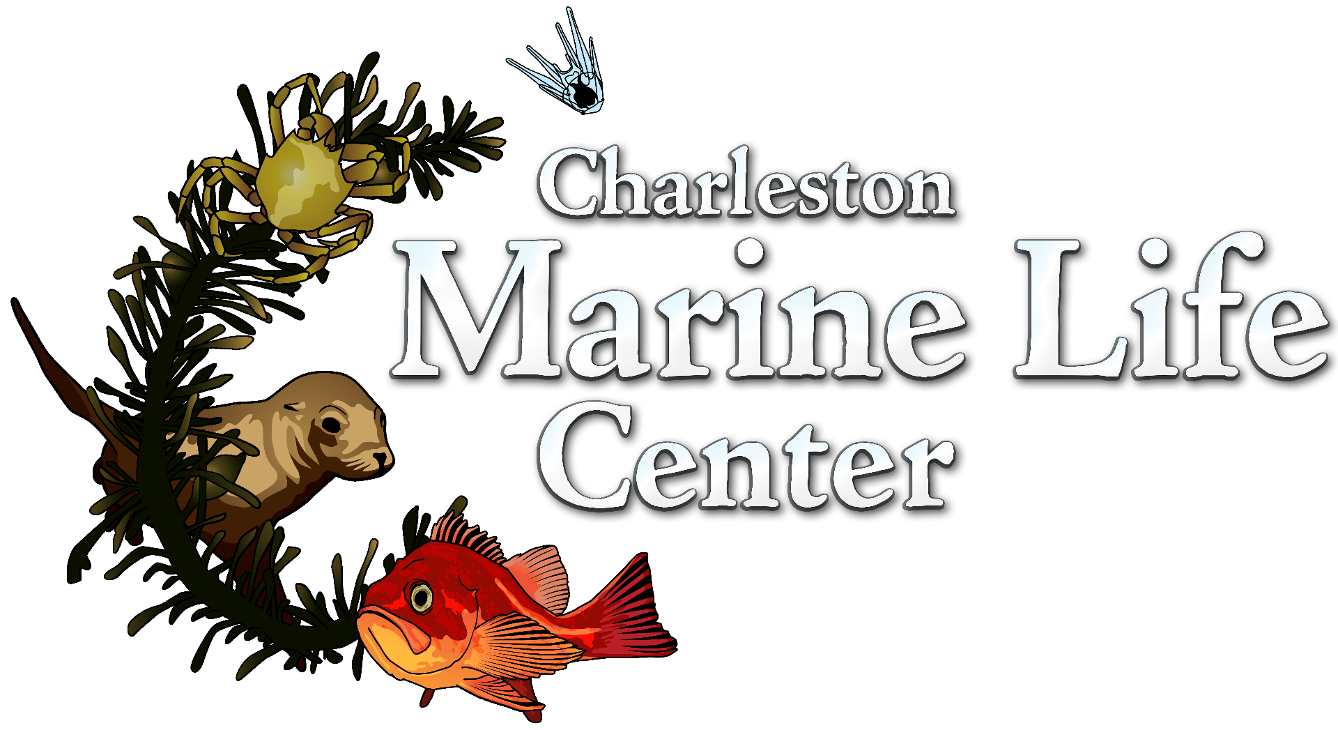 Charleston Marine Life Center
