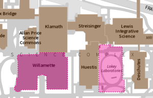 Image of Lokey Labs and Willamette Hall
