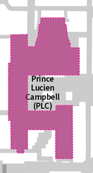 Image of Prince Lucien Campbell