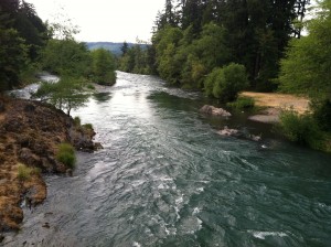 Middle Fork Willametter River, Oakridge, Oregon