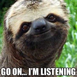 http://weknowmemes.com/2011/12/go-on-im-listening-sloth/