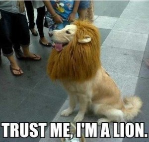 http://smilepls.com/pictures/pets_animals/trust-me-im-a-lion/388/