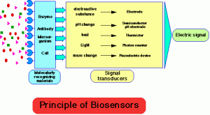 Planting the Seeds for Open Source Biosensing