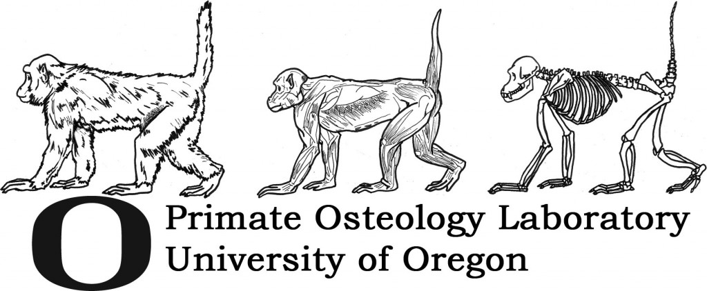 Primate Osteology Lab logo
