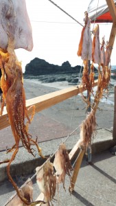 5. Sun Dried Squid, Northern Honshu, Sea of Japan Coast, near Ajigasawa, Japan