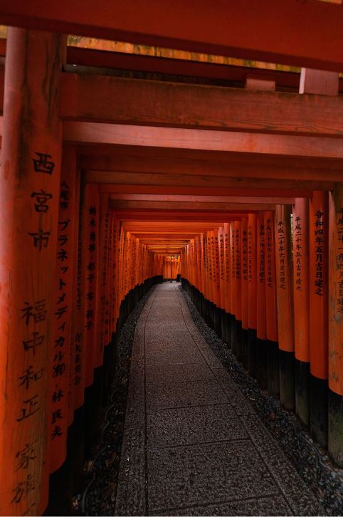 Cameron’s photo during a trip to Fushimi-Inari-Taisha Shrine in Kyoto, Japan