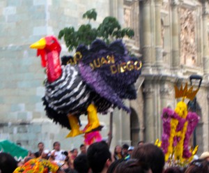 Another turkey in a calenda in Oaxaca in July 2014.  This one is dedicated to San Juan Diego. (Photo, S. Wood)