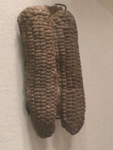 Ceramic representations of corn cobs from a pre-Columbian Zapotec community. Princeton museum. Shared by Pearl Lau, 2015.