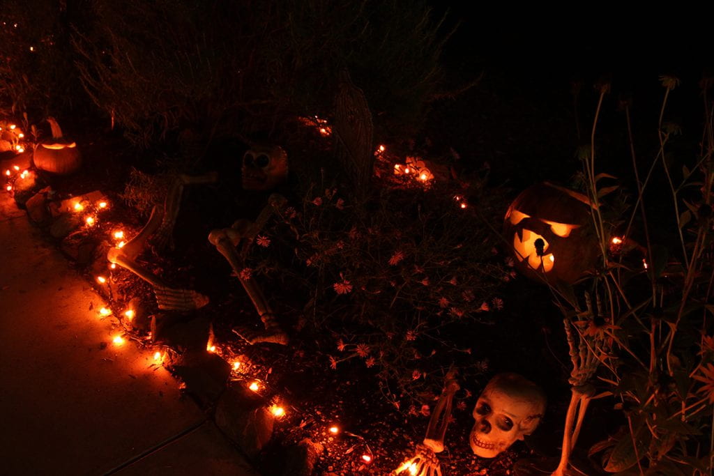 Halloween lights and decorations and jack-o-lanterns on the ground at night