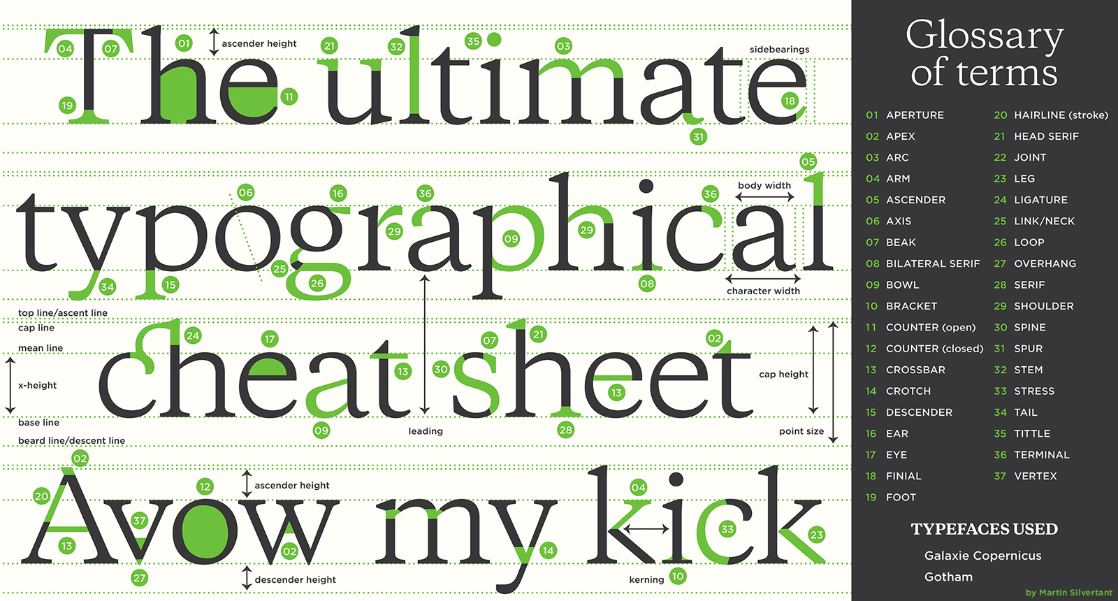 24 Anatomy Of Typography Ideas Anatomy Of Typography Typography Anatomy ...