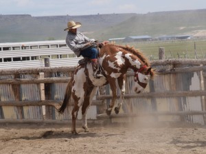 Bronc riding in Harney Co. Photo courtesy of Douglas Manger.