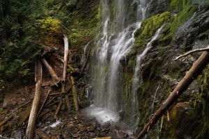 A long exposure shot of Proxy Falls as it cascades down into a jumble of lava rocks and logs.
