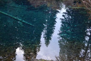 Trees surrounding Blue Pool are reflected upon the surface.