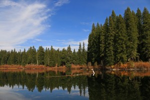Reflections of trees, clouds, and blue skies, bounce off the surface of Clear Lake.