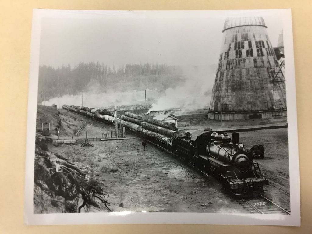 Train carrying felled trees