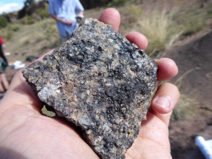 Densely welded tuff of the Treasure Mtn group. Glassy black areas are fiamme: squashed pumice
