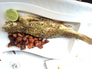the fish that held up our lunch