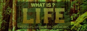 What is Life? (2017)